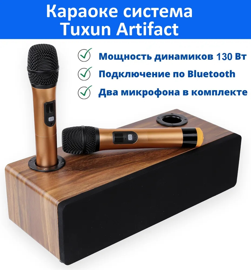 Professional Karaoke Wireless  - Home Cinema Audio System ulasan dan harga