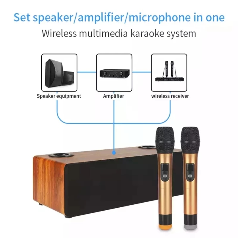 Professional Karaoke Wireless  - Home Cinema Audio System ulasan dan harga