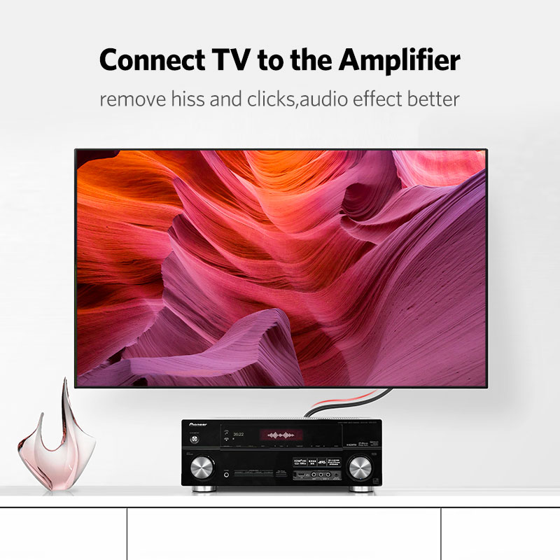 UGREEN 2RCA to 2 RCA Male to M - Home Cinema Beamer ulasan dan harga