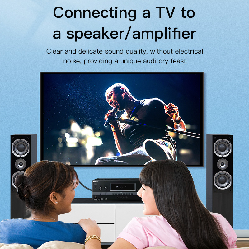 CHOSEAL RCA Cable Digital Coax - Home Cinema Beamer ulasan dan harga
